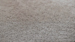 coffee spill on carpet gif