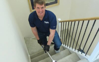 How Long Does it Take for Carpets to Dry?