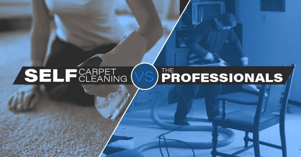 Self Carpet Cleaning Vs. Professional What Pros Do That You Can't