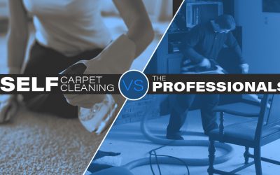 Self Carpet Cleaning vs Professional