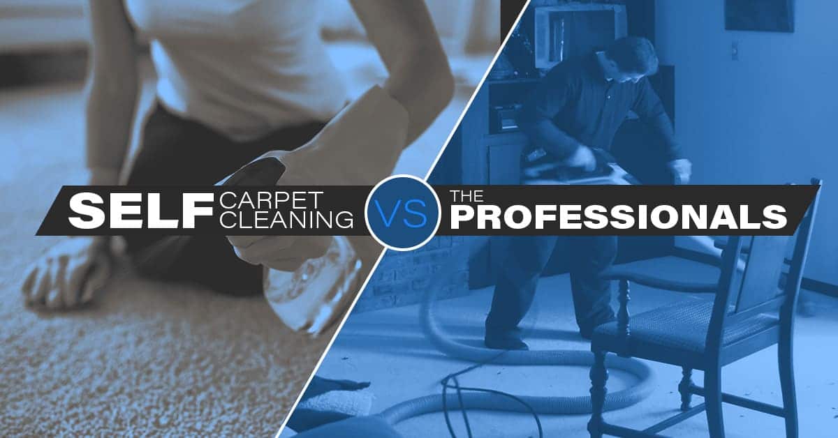 Self carpet cleaning versus professional carpet cleaning