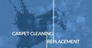 carpet cleaning or replacement how to choose