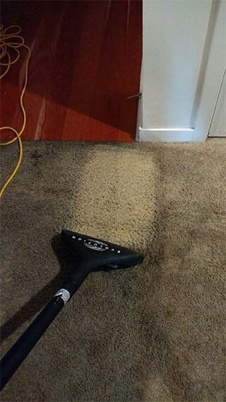 heavily soiled carpet being cleaned