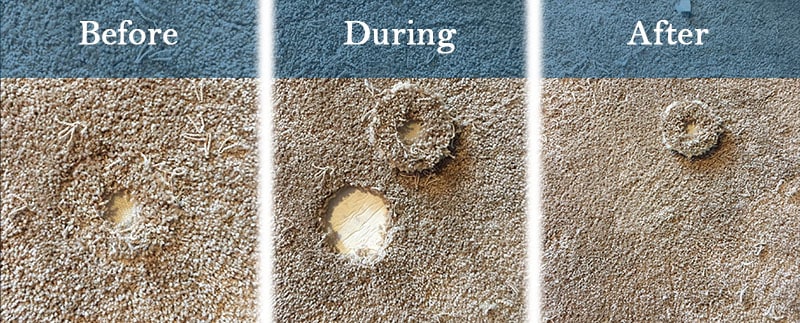 repair damaged carpet during move in carpet cleaning