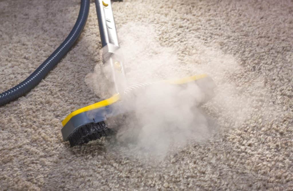 Does Steam Cleaning Kill Germs? | MSS Cleaning