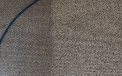 Why Your Office Needs Carpet Cleaning Services