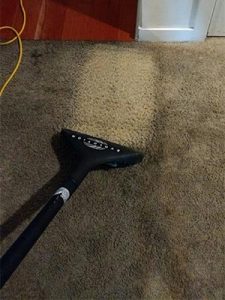 clean streak on dirty carpet