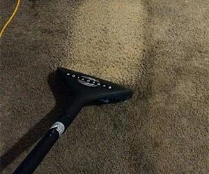 The Best Way to Clean Carpets in Denver