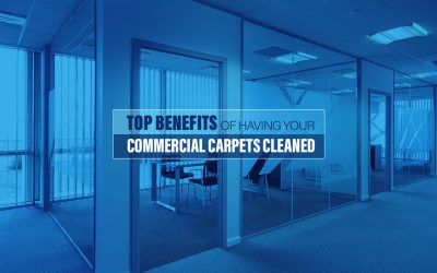 Top Benefits Of Having Your Commercial Carpets Cleaned