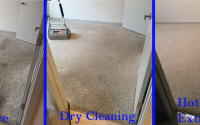 Steam Carpet Cleaning vs Dry Chemical Carpet Cleaning