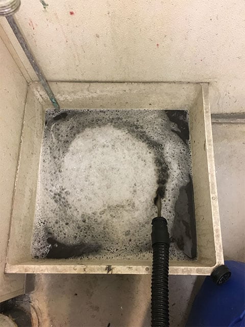 Chem-Dry vs Steam Cleaning