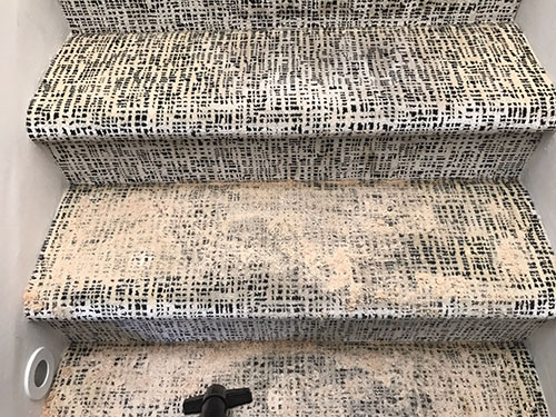 Wool Carpet Cleaning Denver