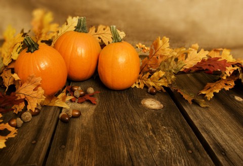 pumpkins and leaves in a fall seasonal theme