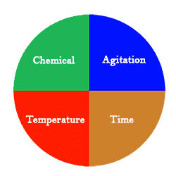 4 components needed to properly deep clean carpets