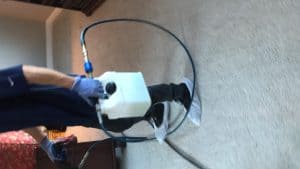 pre-spraying carpet during cleaning
