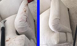 before and after upholstery cleaning