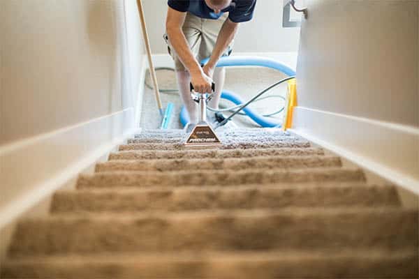 MSS Cleaning employee carpet cleaning stairs with a stair specific carpet cleaning wand