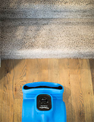 Blue fan blowing towards a flight of carpeted stairs to help dry the carpet after carpet cleaning