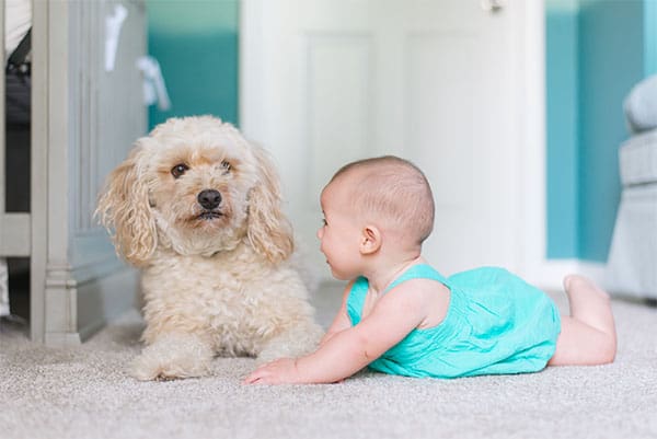 infant with dog lying on smelly carpet