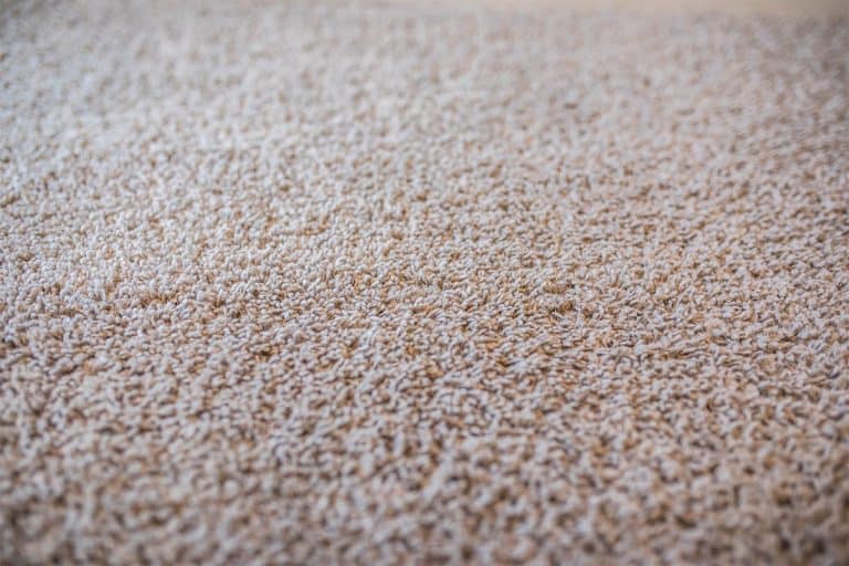 Nylon Vs. Polyester Carpet Which is the Best Choice?