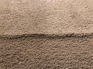 wrinkled tan carpet