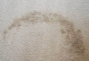 how to get blood out of carpet