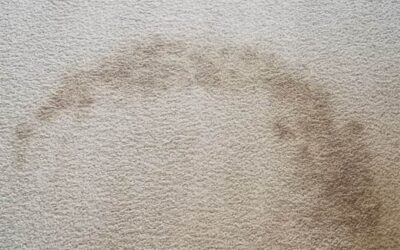 How to Get Blood Out of Carpet