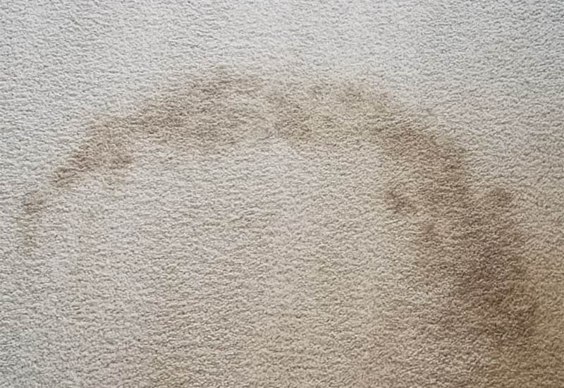 How to get blood out of carpet in Denver