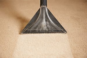 carpet extractor removing water from carpet