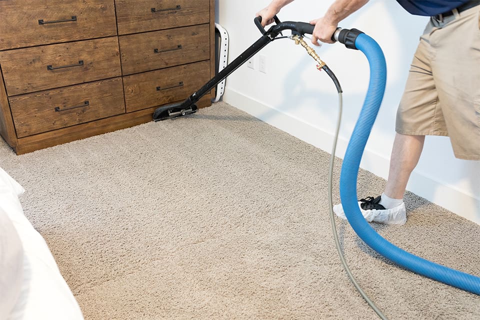 Whether We Are Remove Pet Urine In Carpet Carpet Re Stretching Persian Rug Cleaning Carpet Flo Oriental Rug Cleaning Cleaning Upholstery How To Clean Carpet