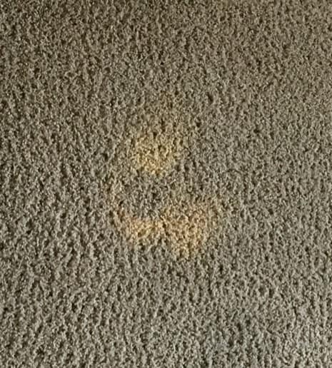 Using bleach on carpet creates discolored spots 