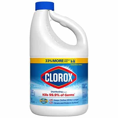 Bottle of Clorox Bleach