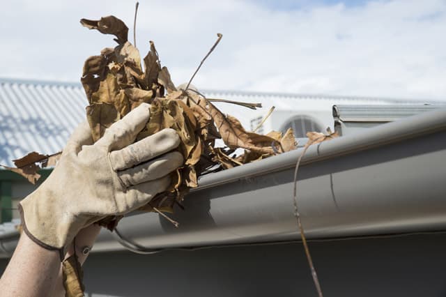 remove leaves and debris from gutters