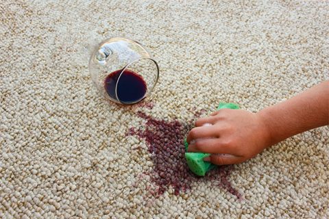 How to get Grape Juice Out of a Carpet | MSS Cleaning