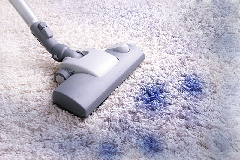 Blue Ink Stain in Carpet MSS Cleaning