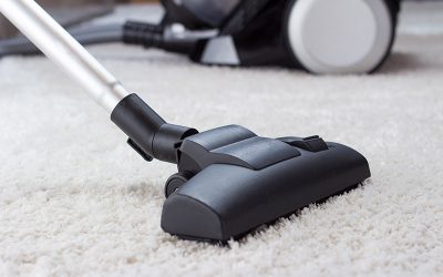 How to Get Dog Hair Out of Carpet