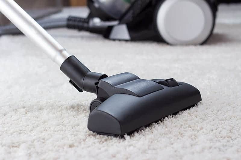 using a vacuum to remove pet hair from carpet